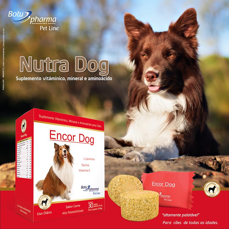 Suplemento para Cães Encor Dog Botupharma 30 Tabletes 4