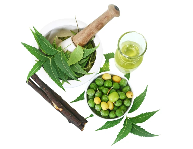 Repelente natural para cães e gatos 9 Repelente natural para cães e gatos 9