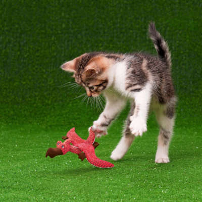 Brinquedo para Gato KONG Cat Dynos 1