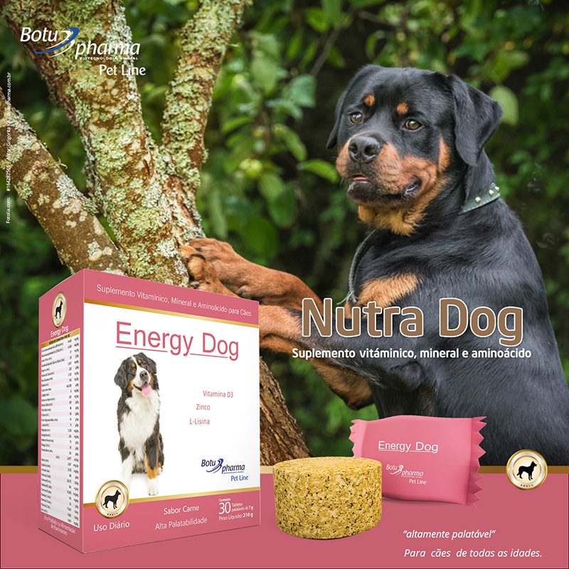 Suplemento para Cães Energy Dog Botupharma 30 Tabletes 3