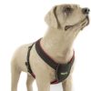 Peitoral Cinto de Segurança para Cães - K9 Spirit 2