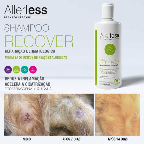 Antes e Depois shampoo recover allerless