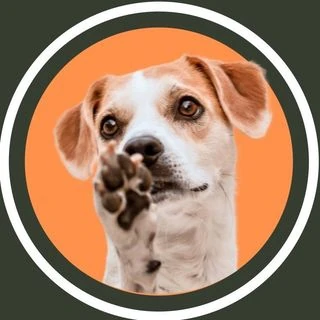Repelente natural para cães e gatos 13 @cake_doglife